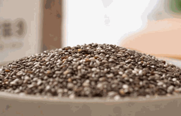 诗纳帝尔膳食减肥